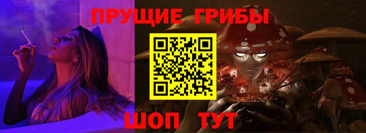 Псилоцибиновые грибы мицелий  Вход с VPN  Сланцы 
