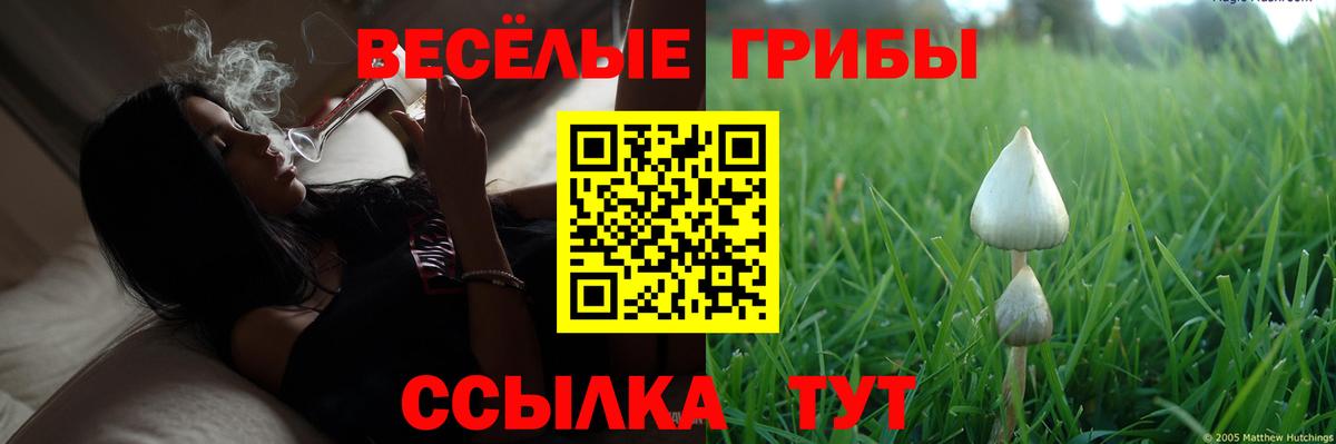 Псилоцибиновые грибы мухоморы Сланцы